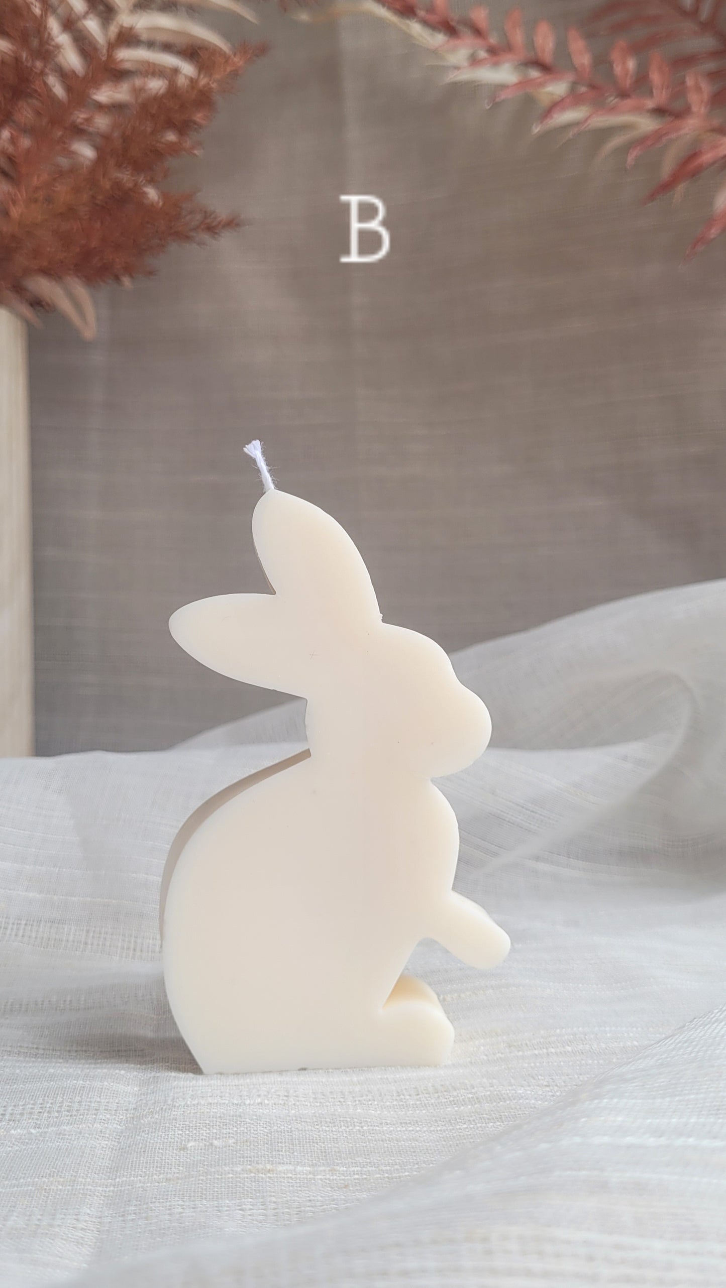 Pair of Bunnies