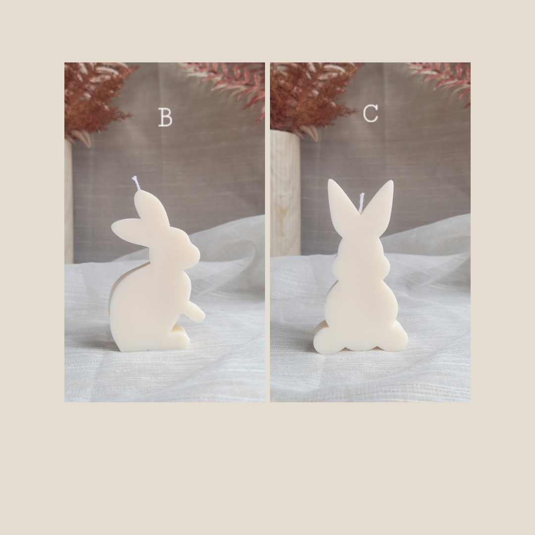 Pair of Bunnies