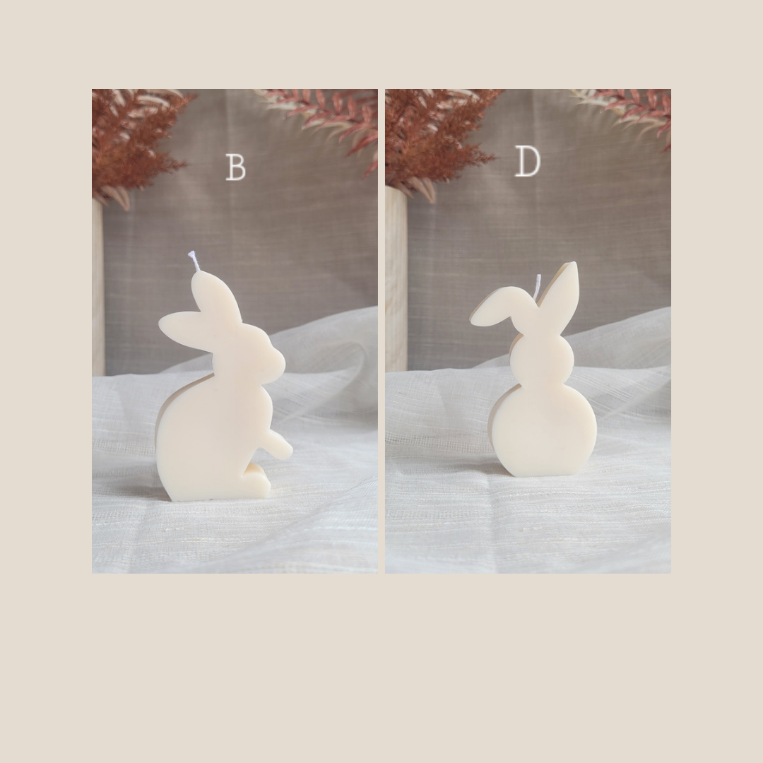 Pair of Bunnies