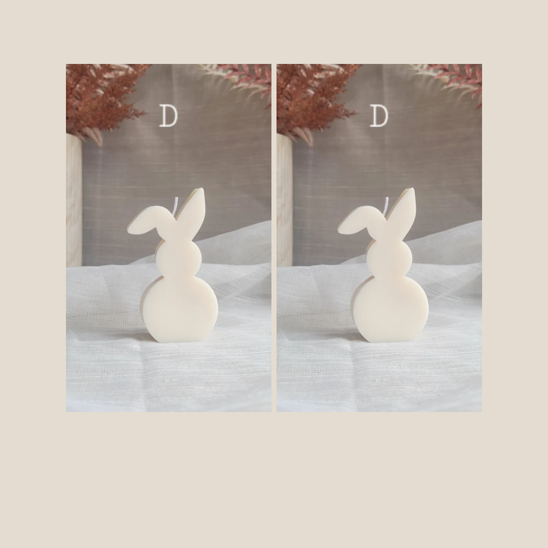 Pair of Bunnies