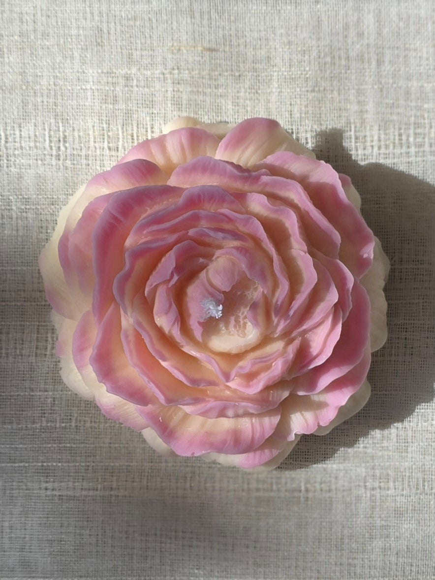 Lilly Bloom Set