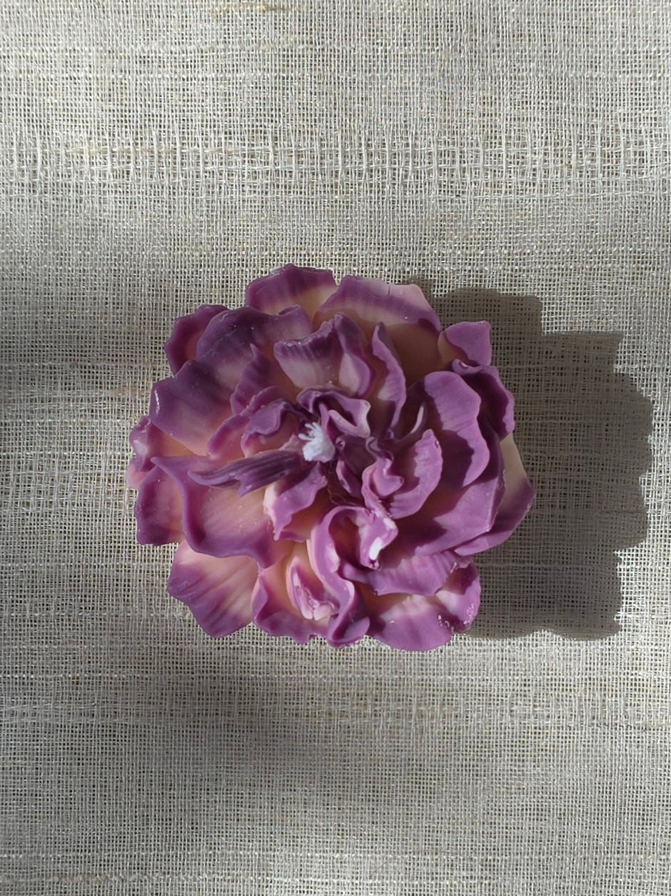Lilly Bloom Set