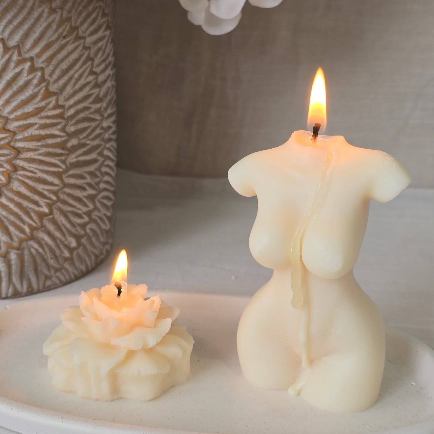 Naked Lady torso