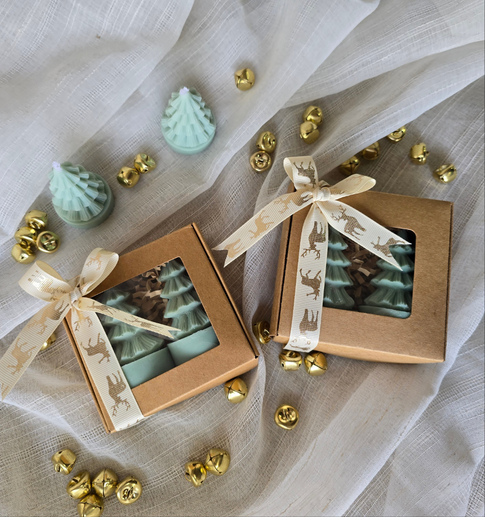 Mini Christmas Tree gift
