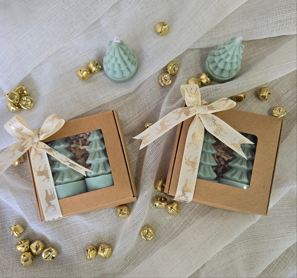 Mini Christmas Tree gift
