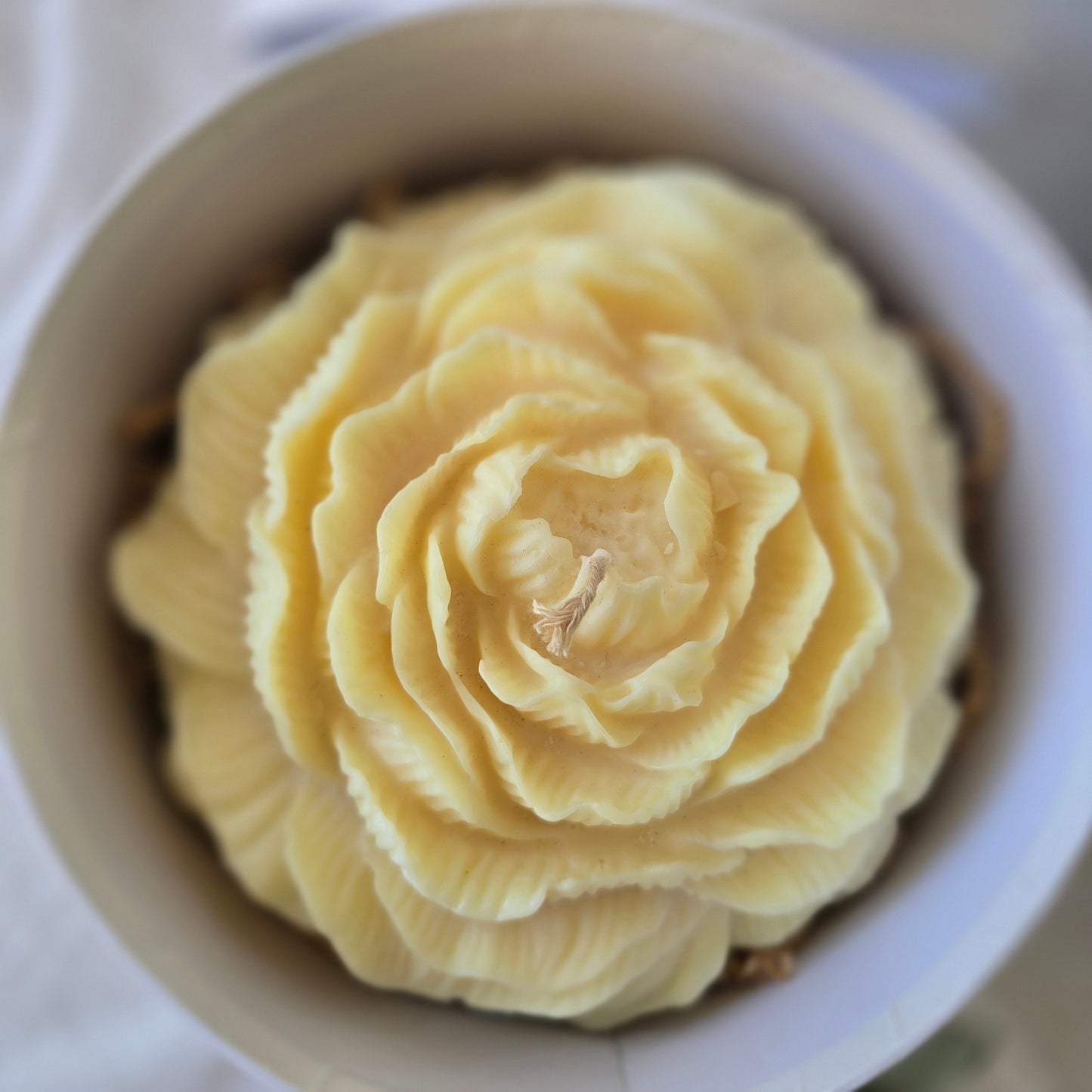 Extra-Large Peony Flower
