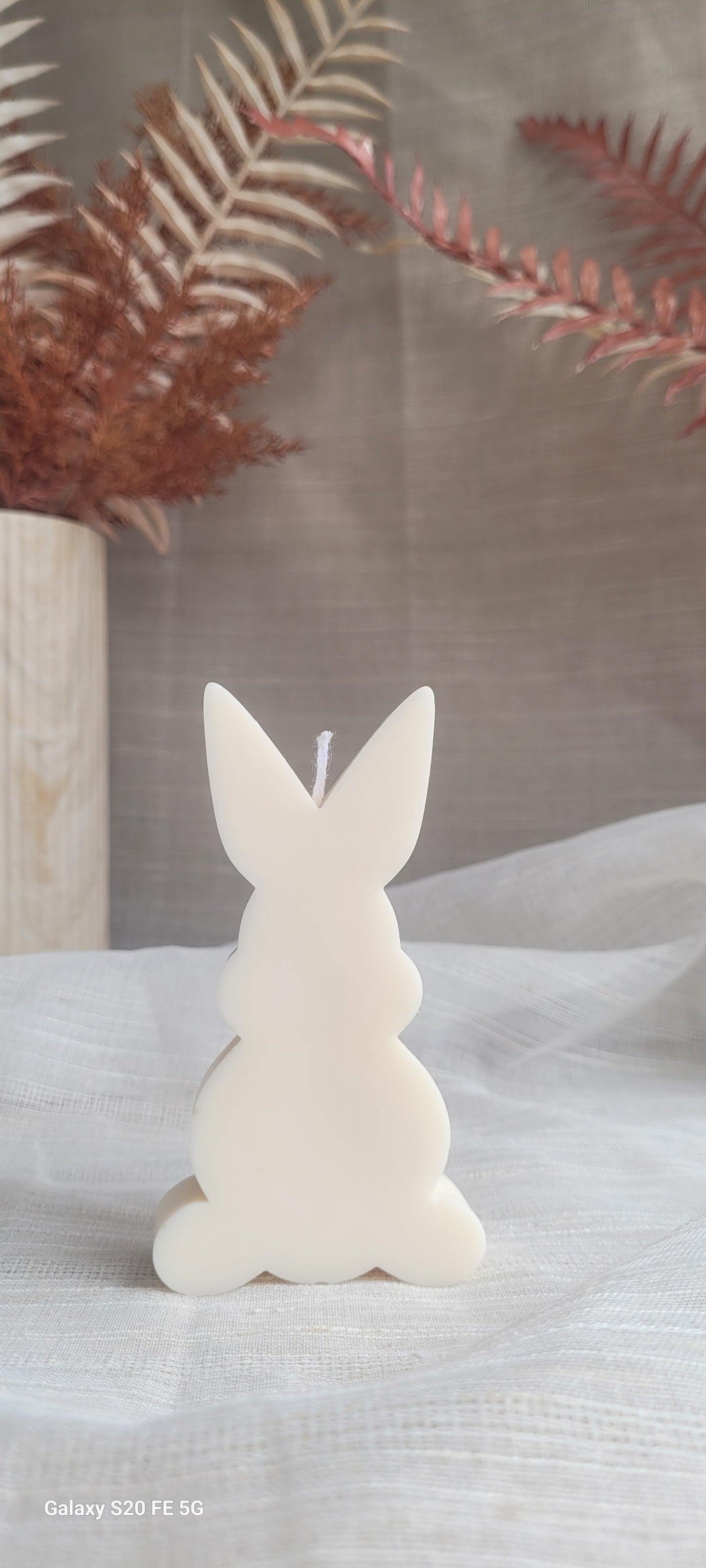 Easter Rabbit (C)